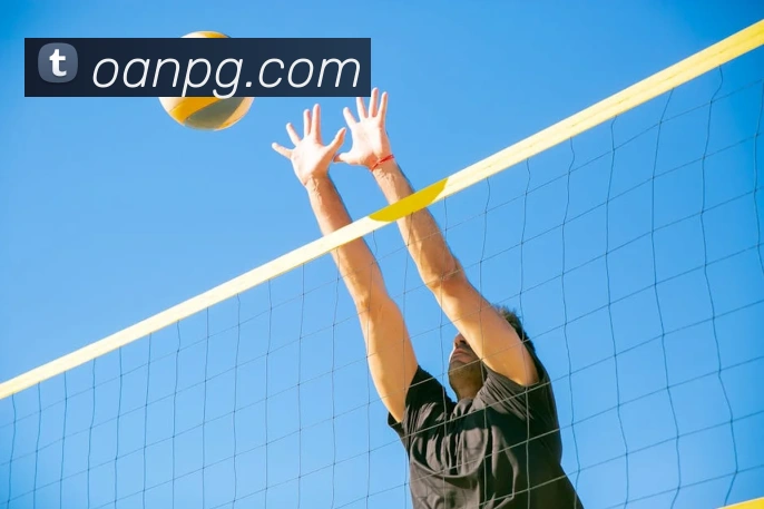 pg电子平台生态图